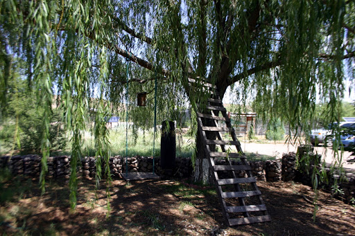 New Mexico WOOFing Trip Pictoral