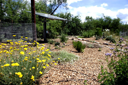 New Mexico WOOFing Trip Pictoral