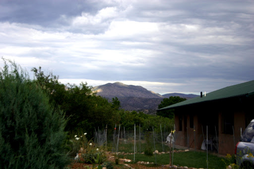 New Mexico WOOFing Trip Pictoral