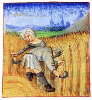 c1cb3-A-Bridgeman-CND-191862_nswlyk